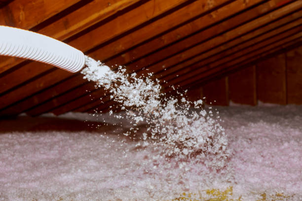 Best DIY Insulation Kits and Guidance in Oregon, OH