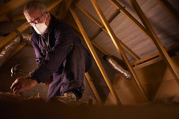 Best Cellulose Insulation in Oregon, OH